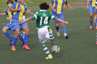 北京首钢八强战惊险武汉三镇，约基奇砍下40记关键球，全场沸腾